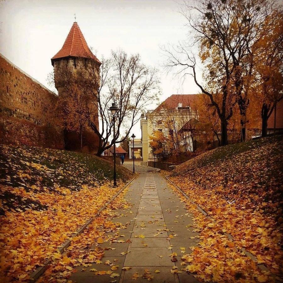 Cozy Residence Sibiu Bagian luar foto